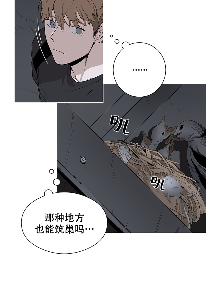 《不飞的鸟》漫画最新章节第1话_1免费下拉式在线观看章节第【9】张图片