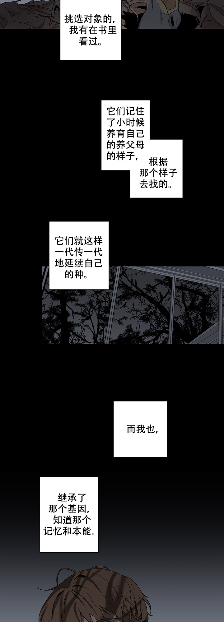 《不飞的鸟》漫画最新章节第10话_10免费下拉式在线观看章节第【7】张图片