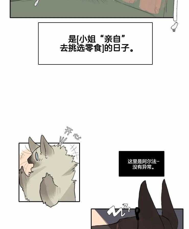 《保镖吸猫有错吗》漫画最新章节第3话_重要任务免费下拉式在线观看章节第【13】张图片