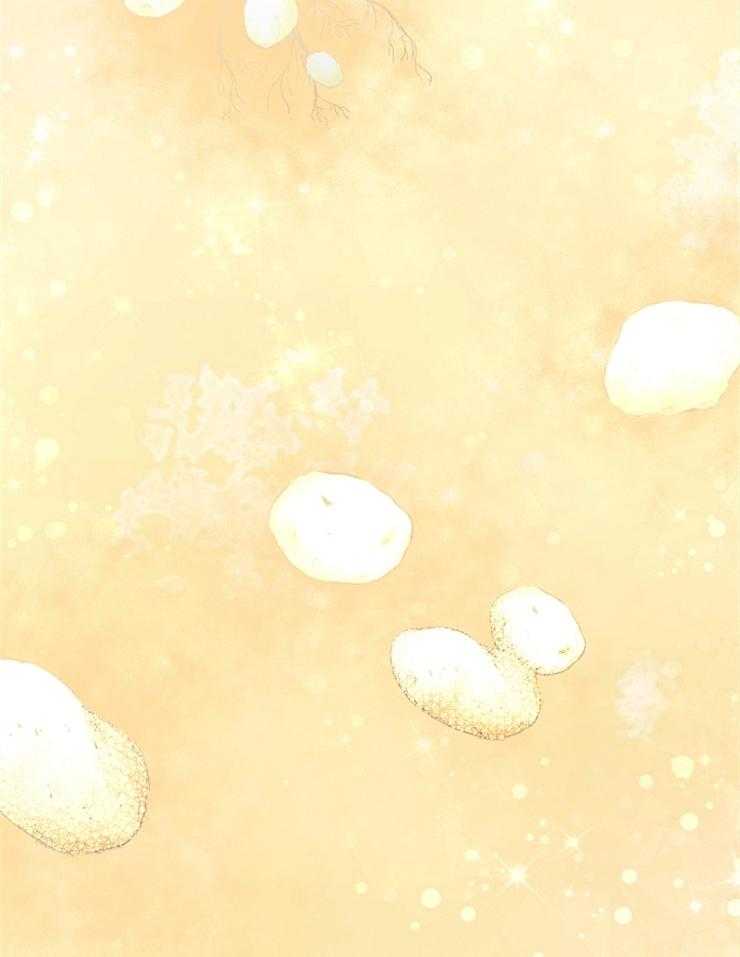 王的土豆-第14话_新的作物“土豆”全彩韩漫标签