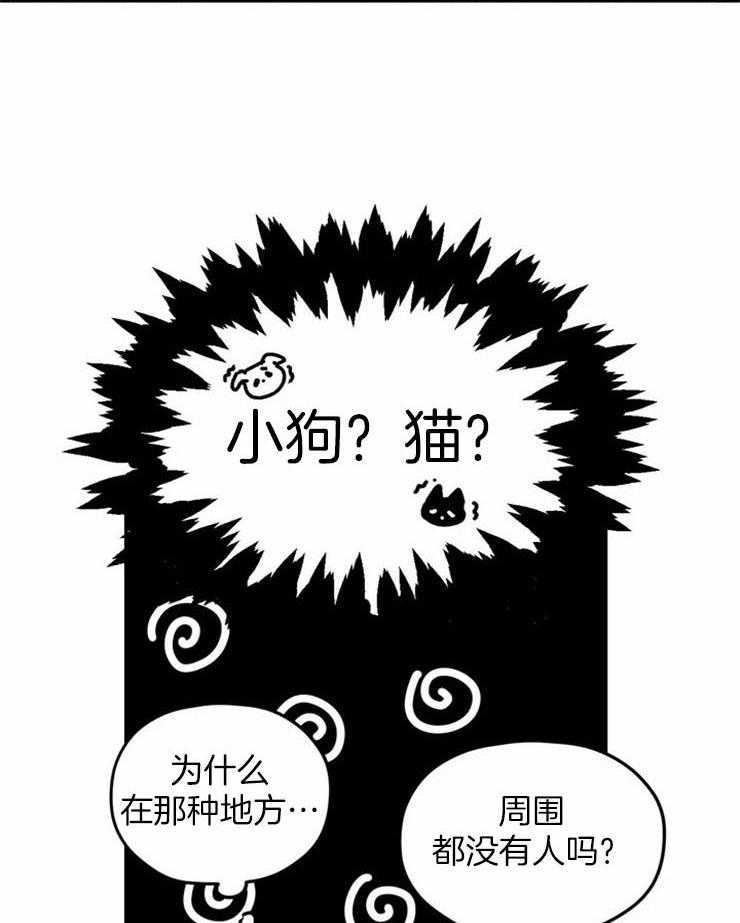 《信息素戒断症》漫画最新章节第1话_国际滑冰冠军免费下拉式在线观看章节第【3】张图片