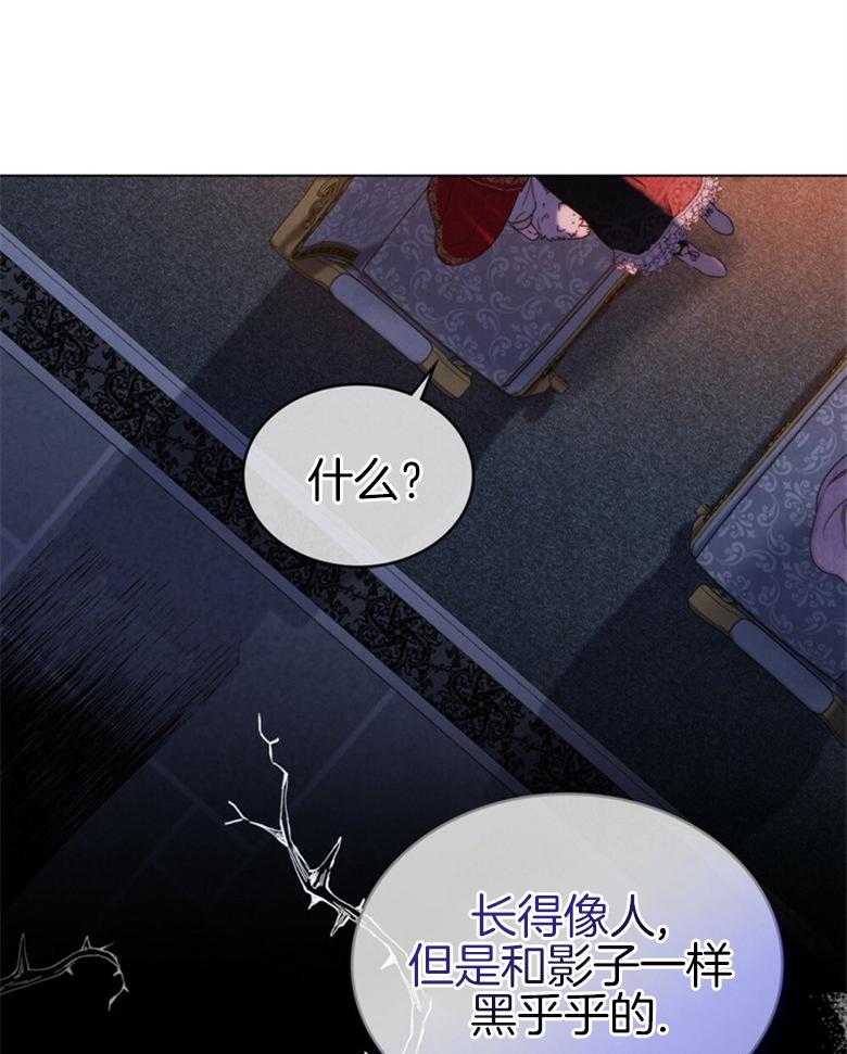 《我的实力你想象不到》漫画最新章节第26话_黑影免费下拉式在线观看章节第【13】张图片