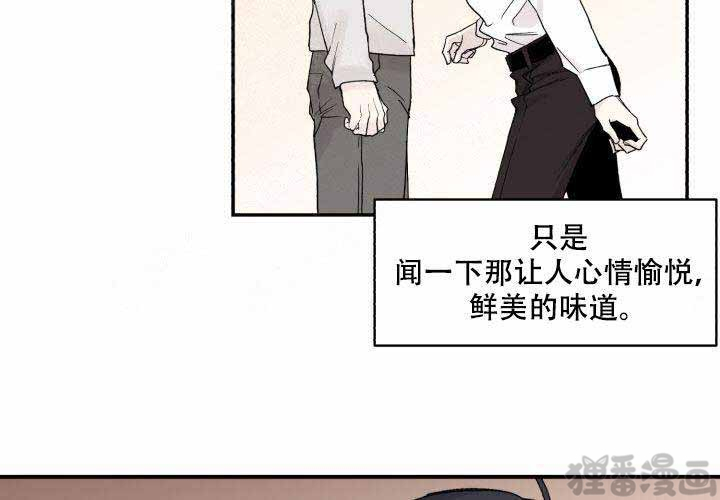 《遗传密码》漫画最新章节第17话_17免费下拉式在线观看章节第【29】张图片