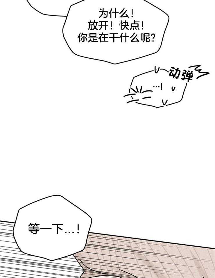 《奶凶霸总钓妻手册》漫画最新章节第44话_婚礼会去的免费下拉式在线观看章节第【17】张图片