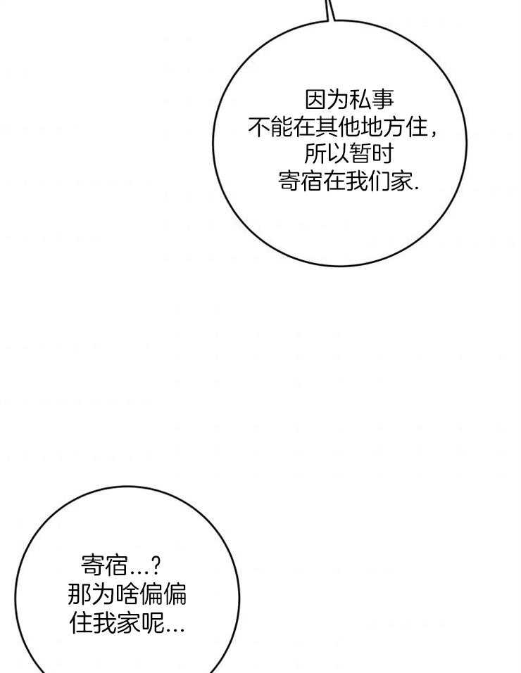 《奶凶霸总钓妻手册》漫画最新章节第76话_捡回家的新成员免费下拉式在线观看章节第【48】张图片