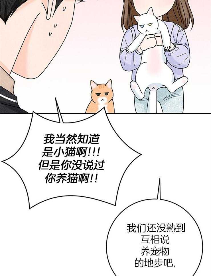 《奶凶霸总钓妻手册》漫画最新章节第76话_捡回家的新成员免费下拉式在线观看章节第【24】张图片