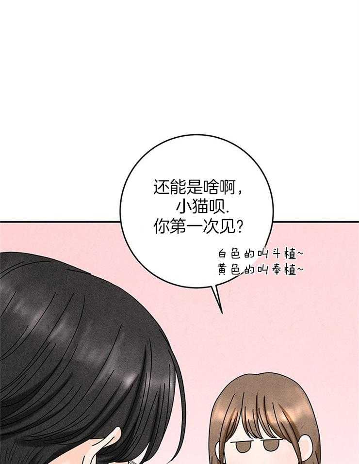 《奶凶霸总钓妻手册》漫画最新章节第76话_捡回家的新成员免费下拉式在线观看章节第【25】张图片