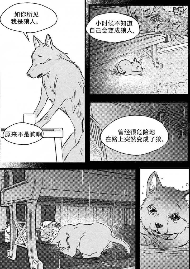 《狼的糖果》漫画最新章节第5话_5免费下拉式在线观看章节第【5】张图片