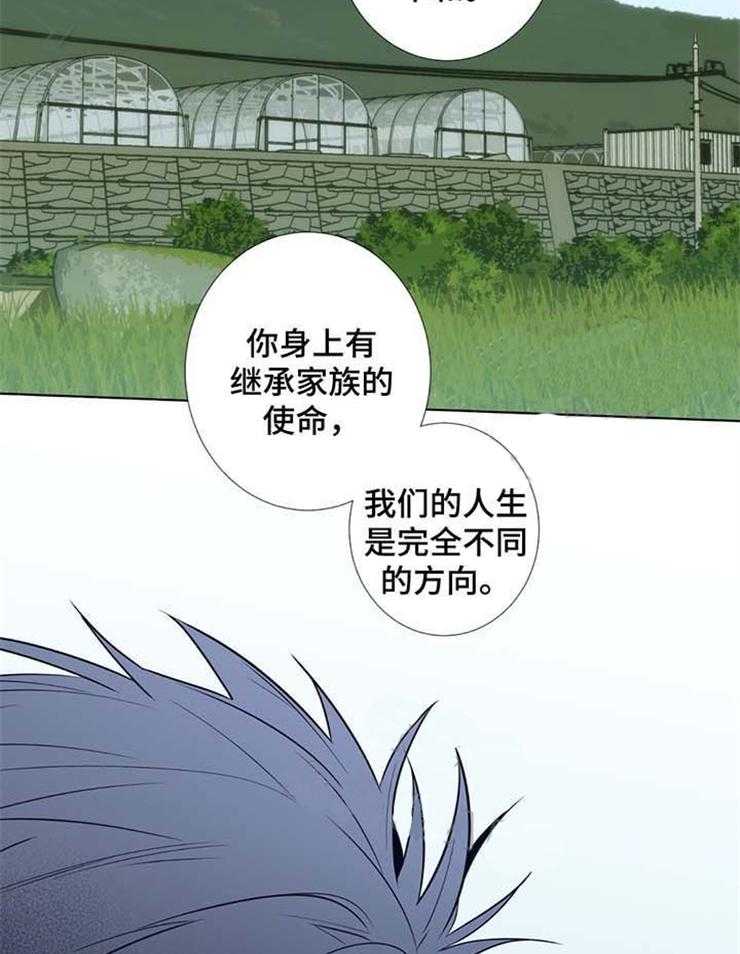 《夏天的客人》漫画最新章节第33话_晕倒免费下拉式在线观看章节第【5】张图片