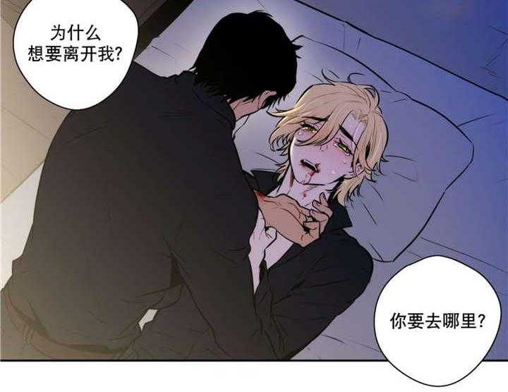 《爱上吸血鬼》漫画最新章节第60话_不要停下免费下拉式在线观看章节第【6】张图片