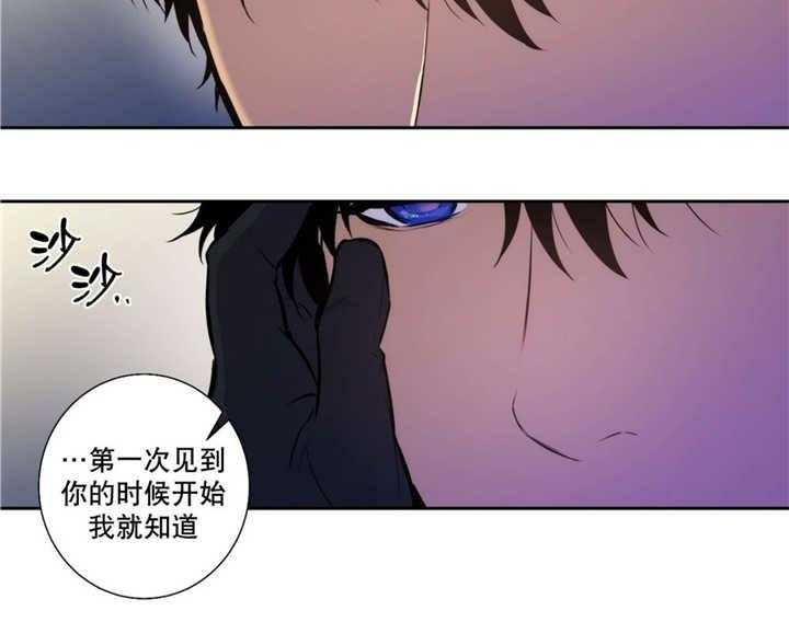 《爱上吸血鬼》漫画最新章节第60话_不要停下免费下拉式在线观看章节第【26】张图片