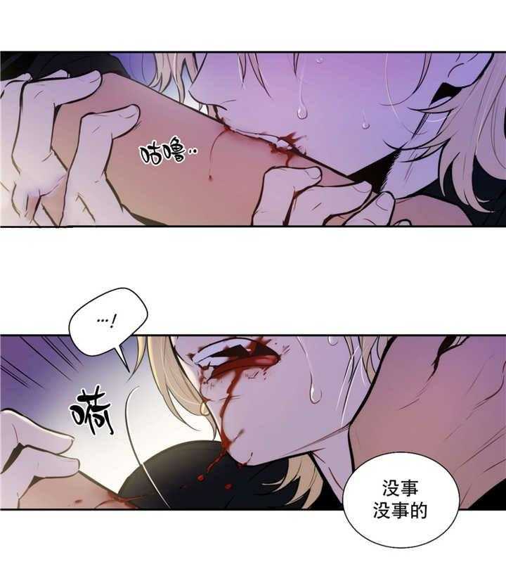 《爱上吸血鬼》漫画最新章节第60话_不要停下免费下拉式在线观看章节第【12】张图片