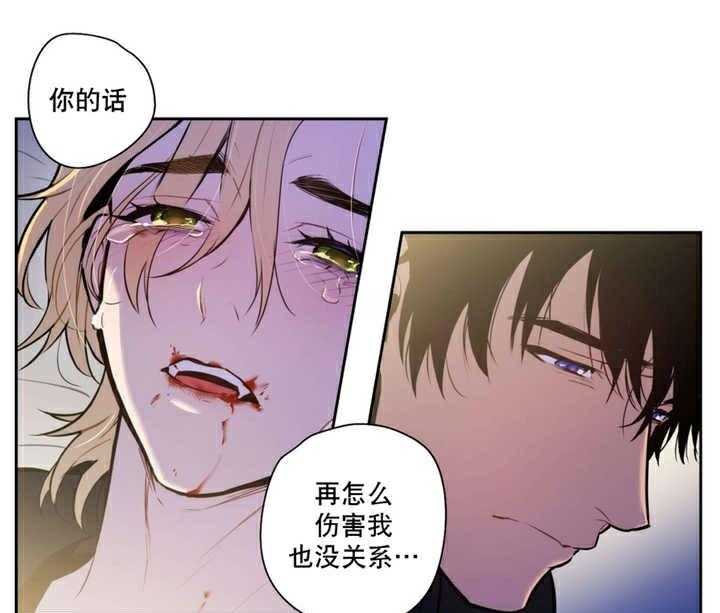 《爱上吸血鬼》漫画最新章节第60话_不要停下免费下拉式在线观看章节第【5】张图片