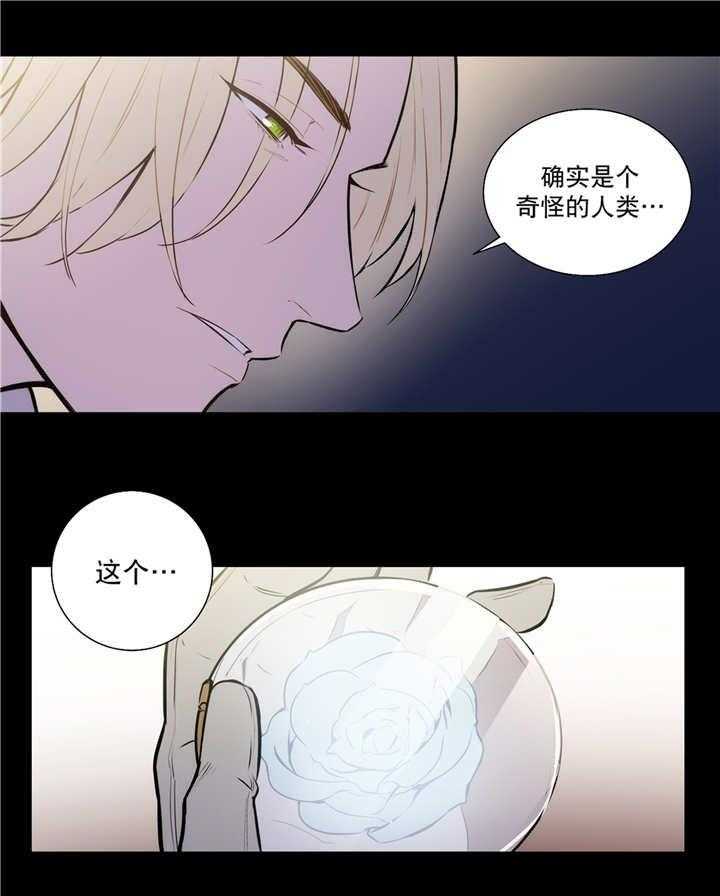 《爱上吸血鬼》漫画最新章节第74话_解除关系免费下拉式在线观看章节第【1】张图片