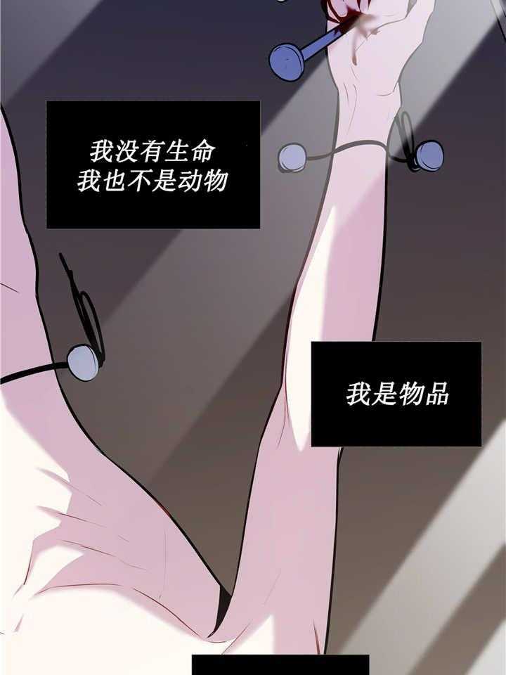 《爱上吸血鬼》漫画最新章节第77话_白化的蛇免费下拉式在线观看章节第【11】张图片