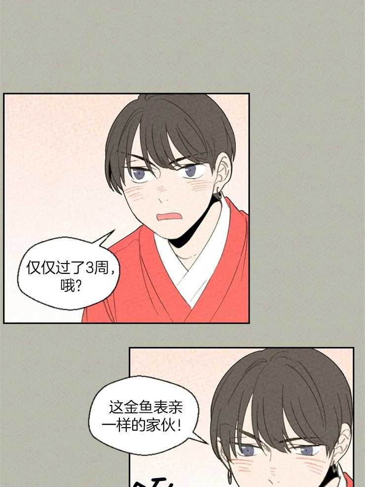 《午夜共生》漫画最新章节第79话_金鱼表亲免费下拉式在线观看章节第【13】张图片