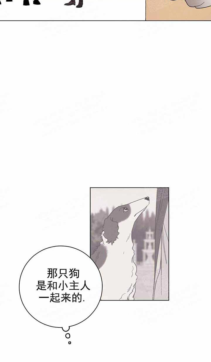 《宠爱主人》漫画最新章节第5话_意外免费下拉式在线观看章节第【16】张图片