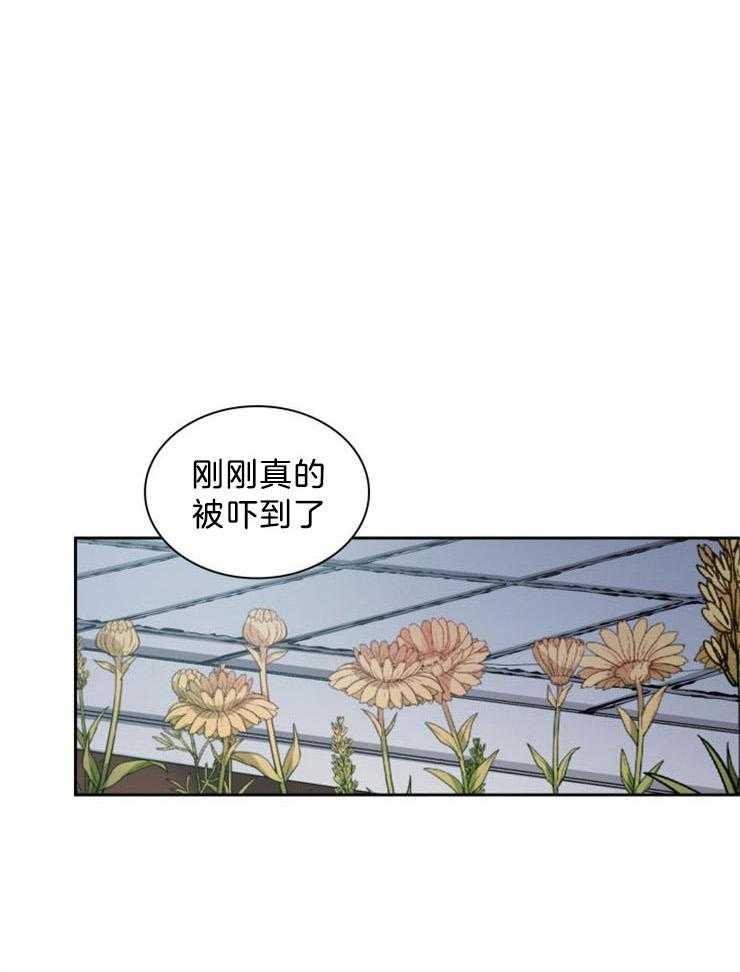 《听说你把我当工具人》漫画最新章节第63话_不要原谅免费下拉式在线观看章节第【17】张图片