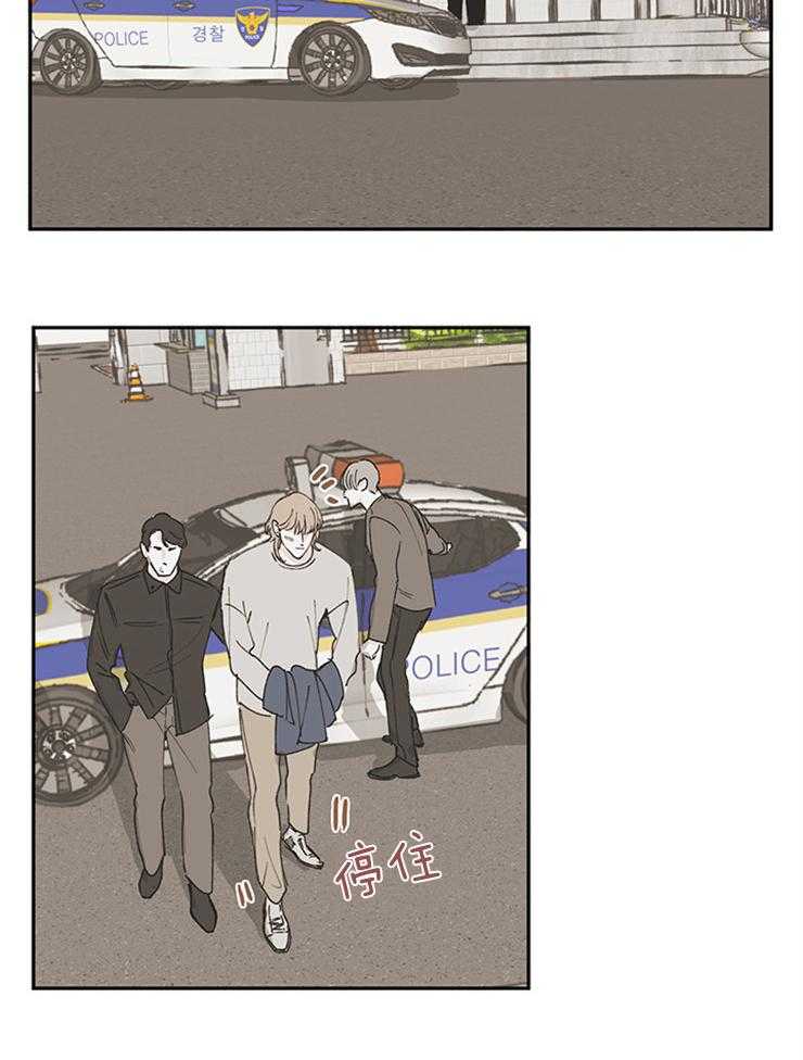 《垃圾堆里捡男友（共2季）》漫画最新章节第56话_调查免费下拉式在线观看章节第【19】张图片