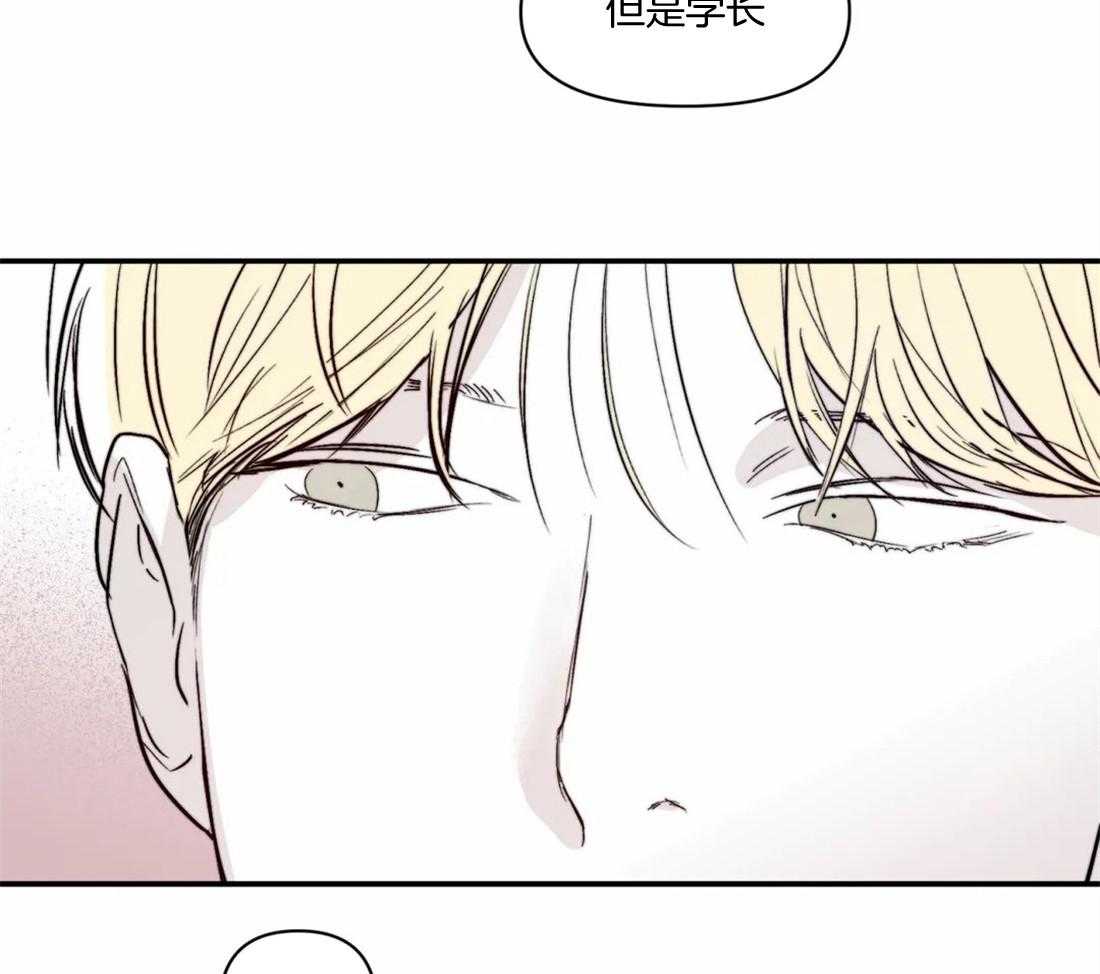 《你有权保持幻想》漫画最新章节第16话_靠太近了免费下拉式在线观看章节第【9】张图片