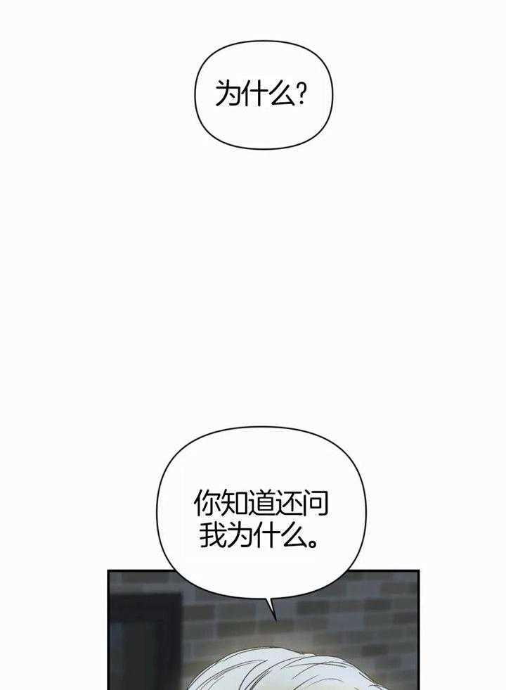 《你有权保持幻想》漫画最新章节第51话_你为什么免费下拉式在线观看章节第【16】张图片