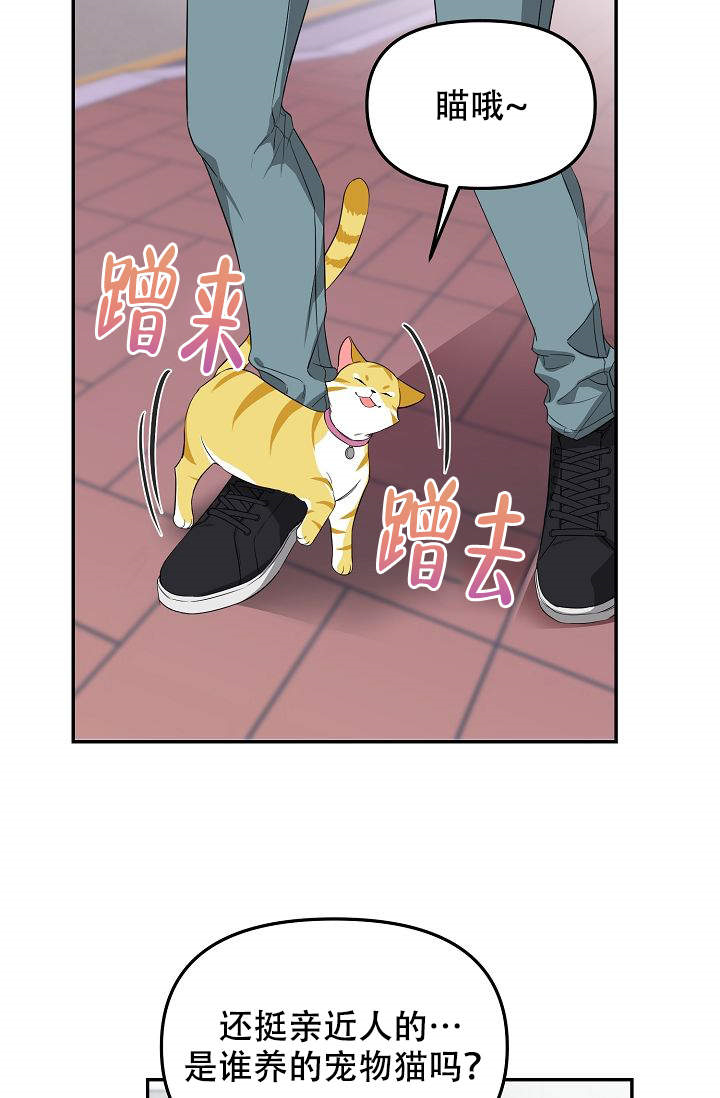 《老虎花》漫画最新章节第1话_1免费下拉式在线观看章节第【18】张图片