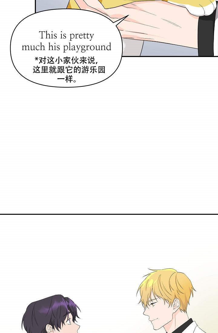 《老虎花》漫画最新章节第1话_1免费下拉式在线观看章节第【3】张图片