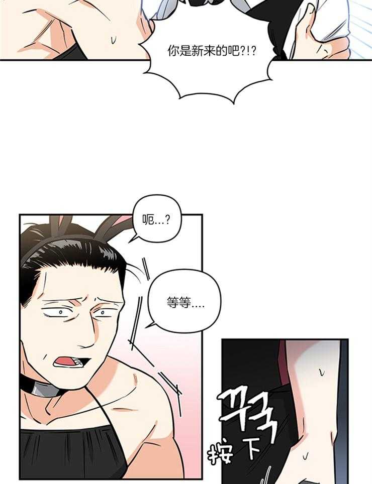 《天使兔俱乐部》漫画最新章节第14话_熟面孔免费下拉式在线观看章节第【5】张图片