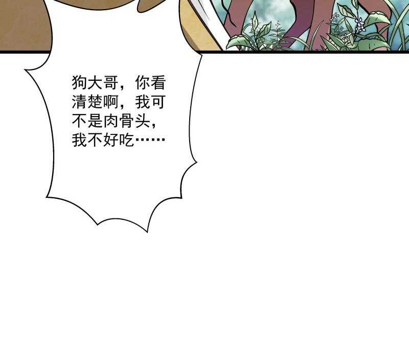 《小皇书vs小皇叔》漫画最新章节第12话_被狗追了！免费下拉式在线观看章节第【26】张图片