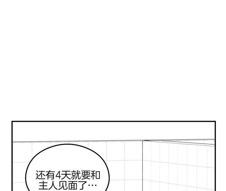 《翻转（共2季）》漫画最新章节第24话_不见了免费下拉式在线观看章节第【24】张图片