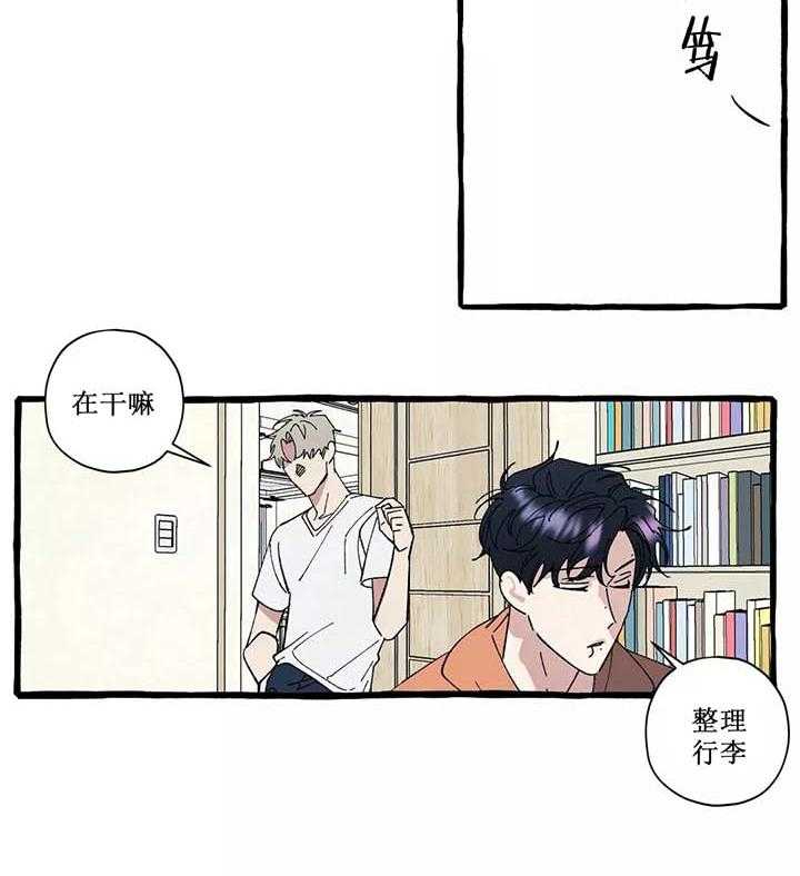 《coverup》漫画最新章节第45话_第45话免费下拉式在线观看章节第【5】张图片