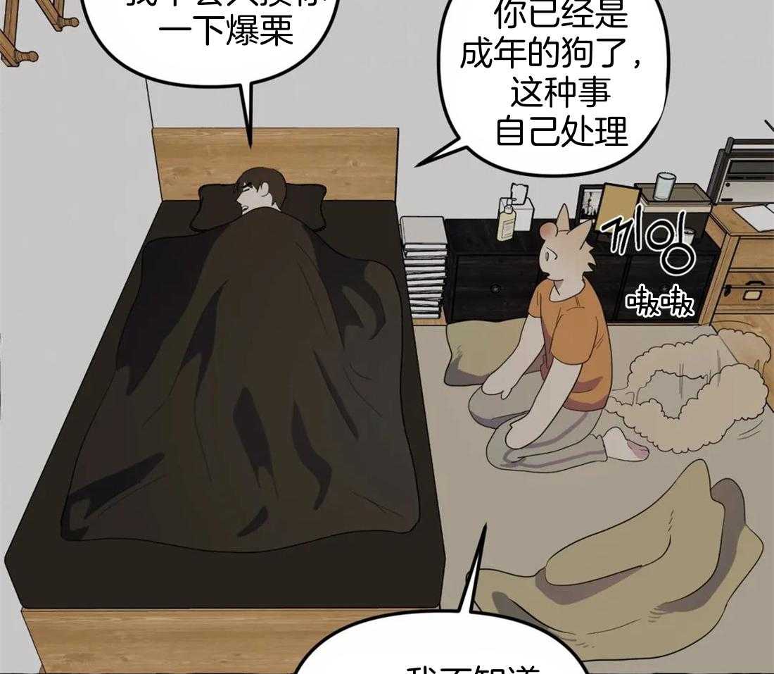 《捡只宠物被攻了》漫画最新章节第4话_半夜爬床免费下拉式在线观看章节第【30】张图片