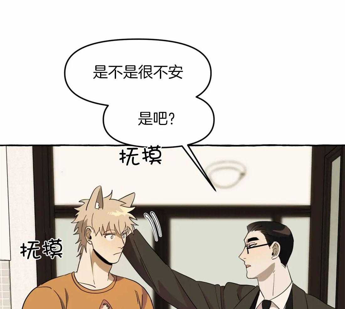 《捡只宠物被攻了》漫画最新章节第6话_拆家了！免费下拉式在线观看章节第【17】张图片