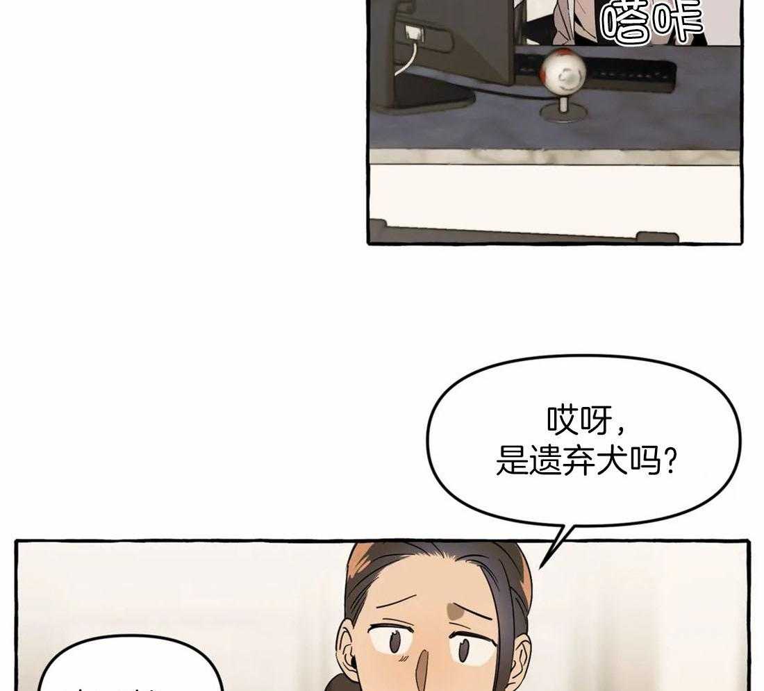 《捡只宠物被攻了》漫画最新章节第6话_拆家了！免费下拉式在线观看章节第【41】张图片