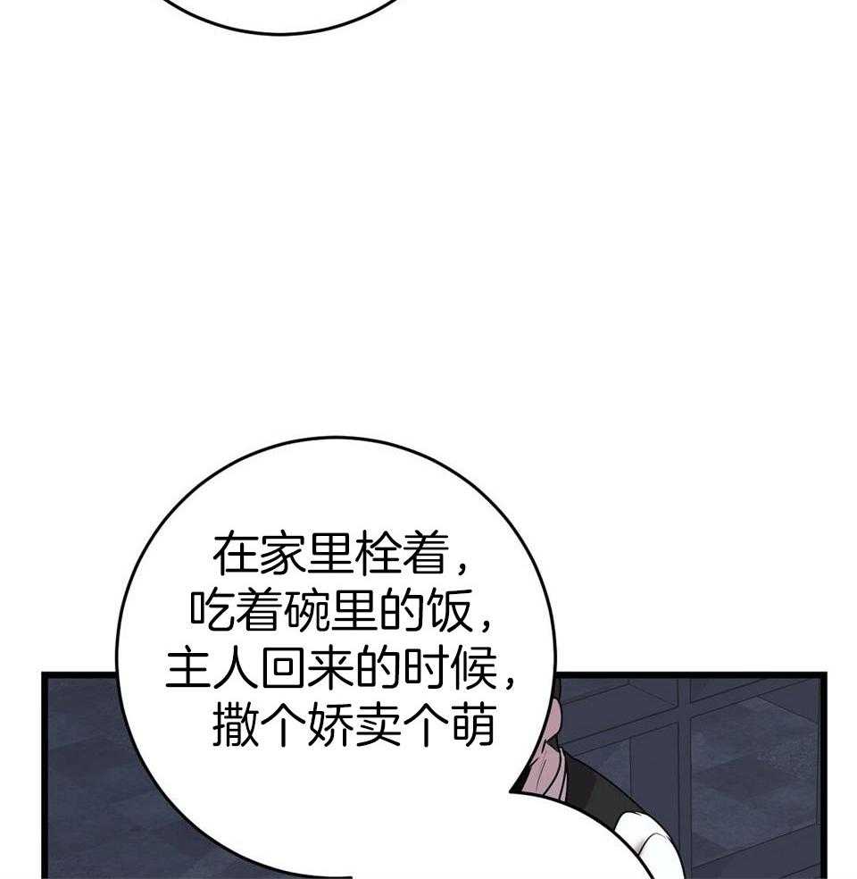 《大佬的作死追妻路》漫画最新章节第25话_侮辱免费下拉式在线观看章节第【13】张图片