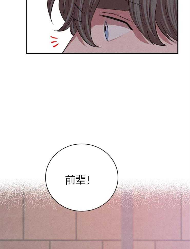 《珊瑚食者》漫画最新章节第41话_像是恋人免费下拉式在线观看章节第【14】张图片