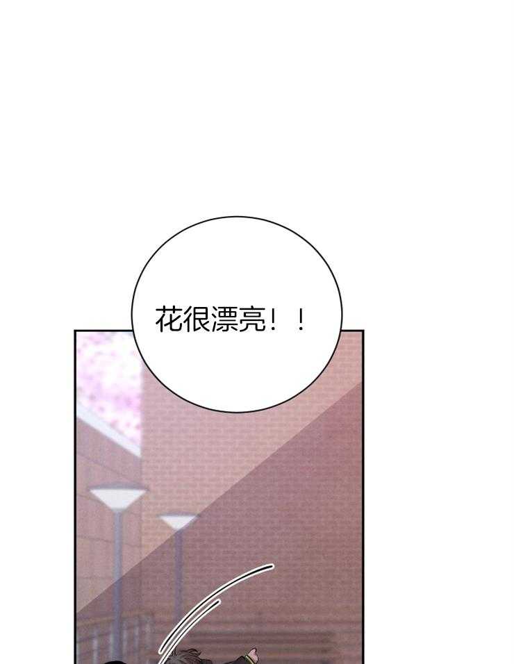 《珊瑚食者》漫画最新章节第42话_再次见到免费下拉式在线观看章节第【29】张图片