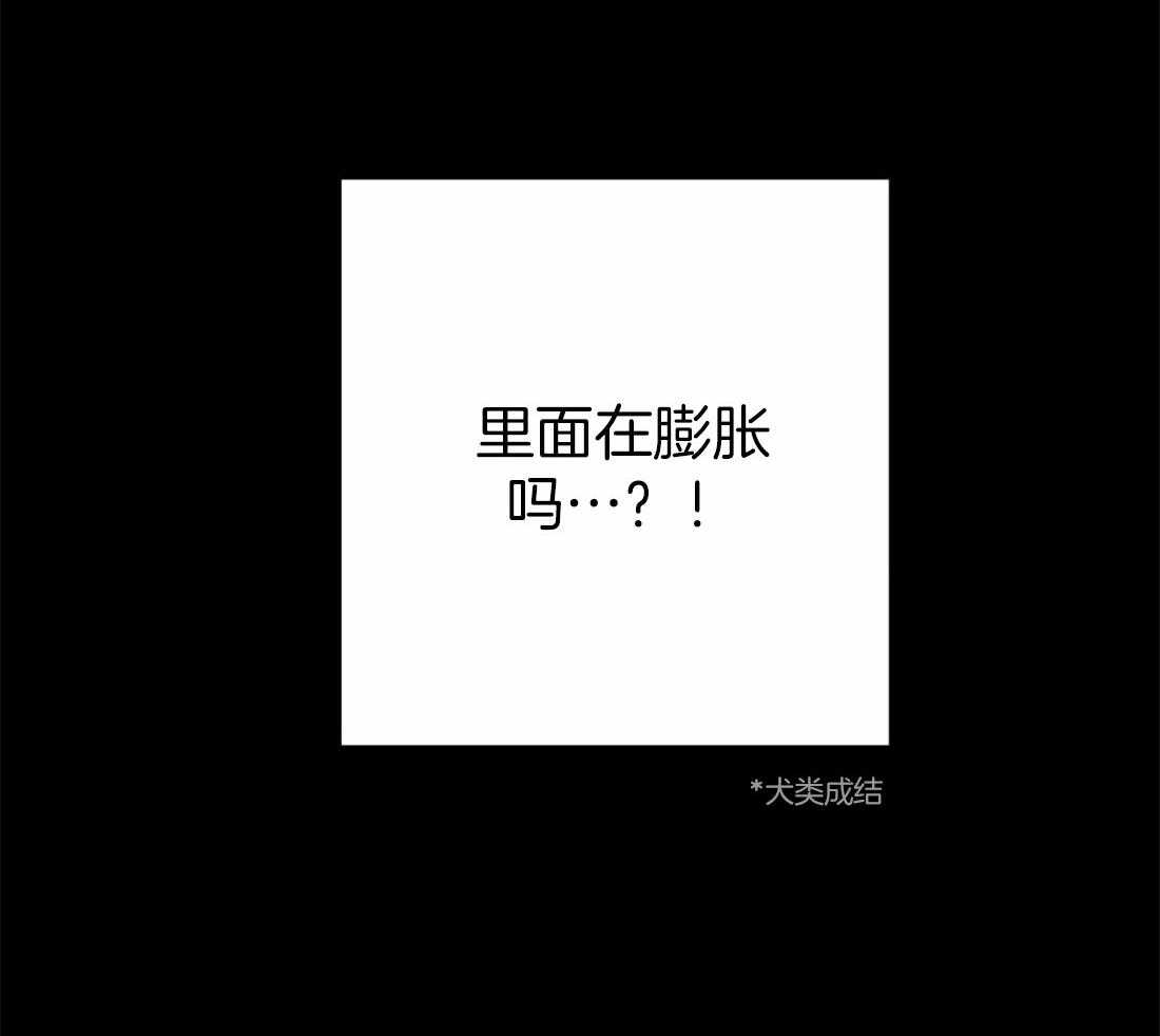 《魔王逆谋》漫画最新章节第18话_犬类成结免费下拉式在线观看章节第【9】张图片