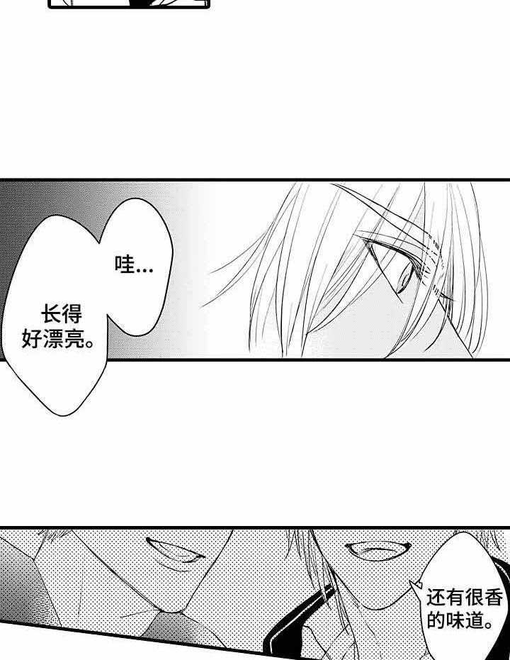 《A与A的对决》漫画最新章节第10话_扯平免费下拉式在线观看章节第【4】张图片