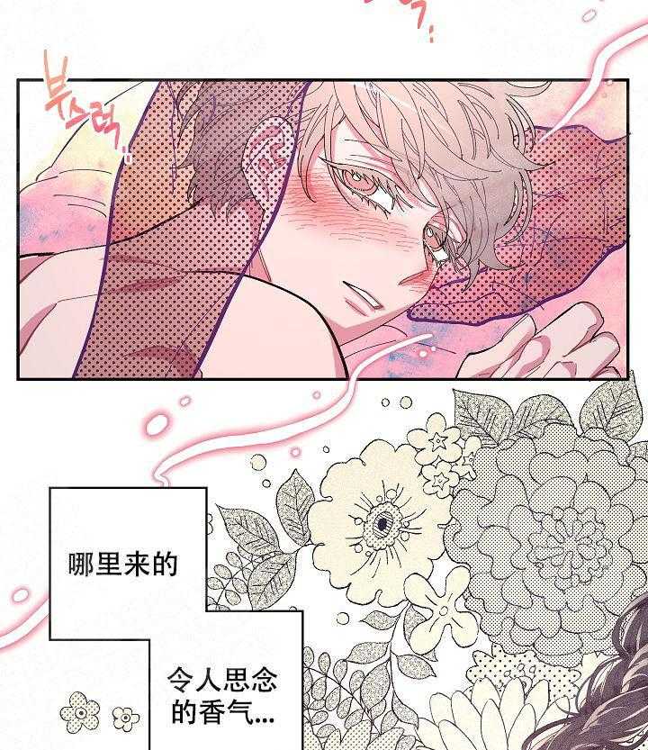 《掌心之花》漫画最新章节第4话_好奇免费下拉式在线观看章节第【15】张图片