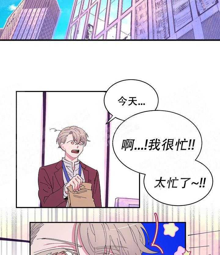 《掌心之花》漫画最新章节第11话_便当免费下拉式在线观看章节第【6】张图片