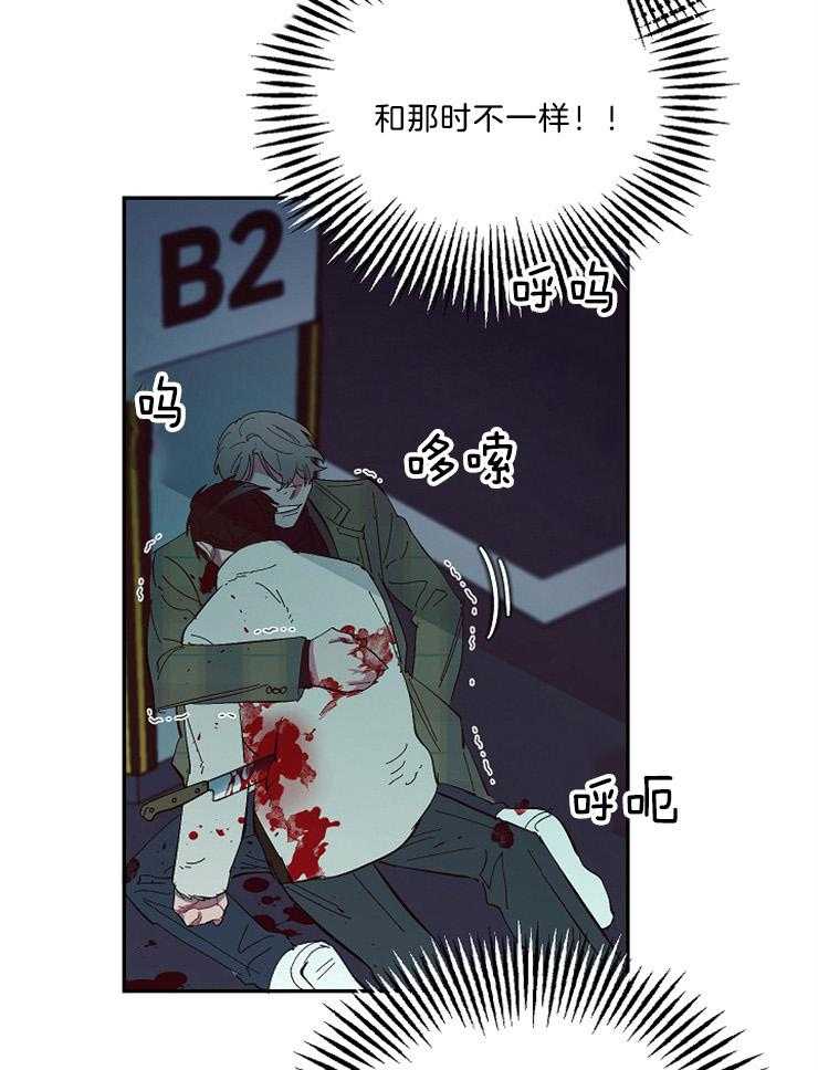 《掌心之花》漫画最新章节第51话_再次挡刀免费下拉式在线观看章节第【5】张图片