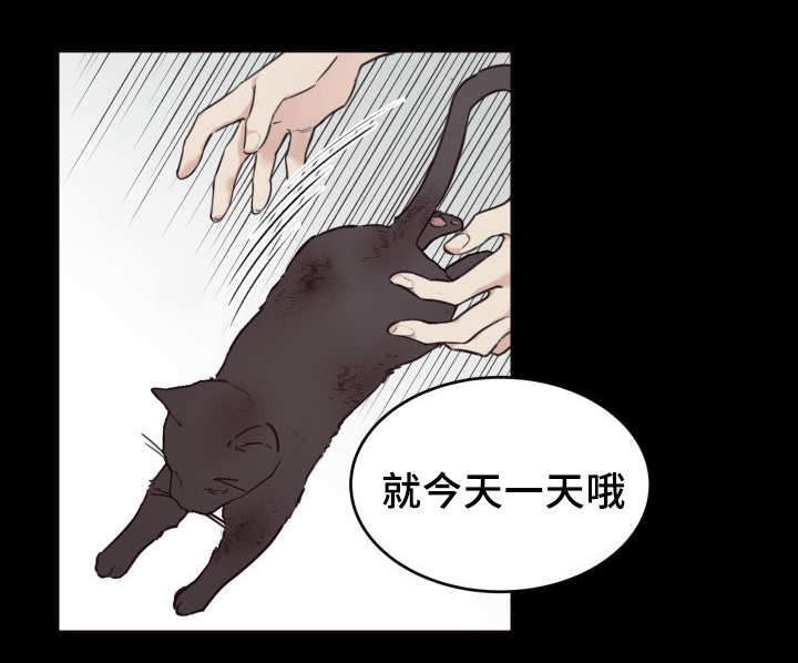 《猫的项圈》漫画最新章节第26话_不然就杀了免费下拉式在线观看章节第【11】张图片