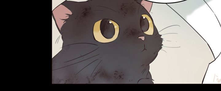 《猫的项圈》漫画最新章节第26话_不然就杀了免费下拉式在线观看章节第【7】张图片