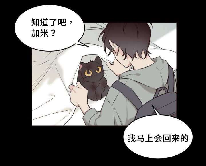 《猫的项圈》漫画最新章节第26话_不然就杀了免费下拉式在线观看章节第【6】张图片