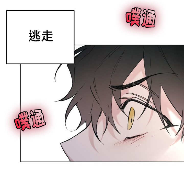 《猫的项圈》漫画最新章节第29话_完全吃醋了免费下拉式在线观看章节第【16】张图片