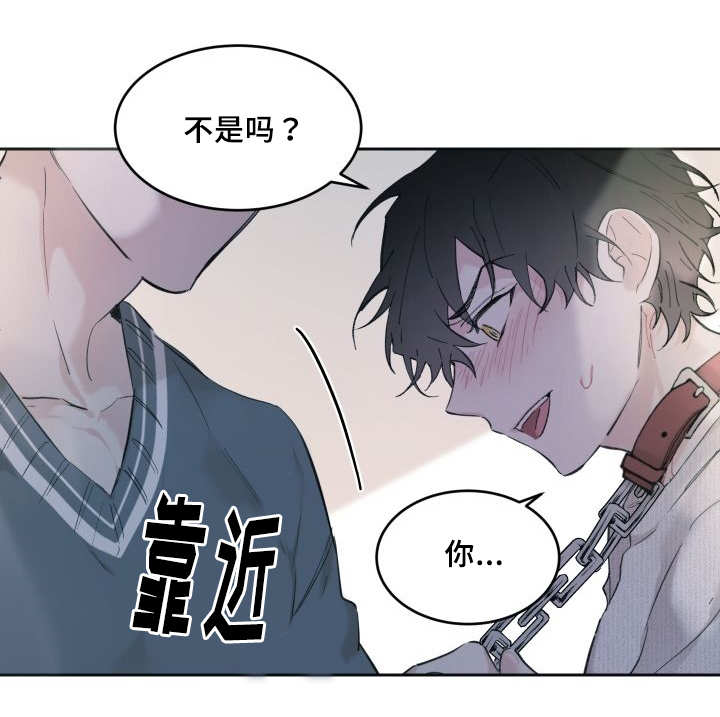 《猫的项圈》漫画最新章节第29话_完全吃醋了免费下拉式在线观看章节第【18】张图片