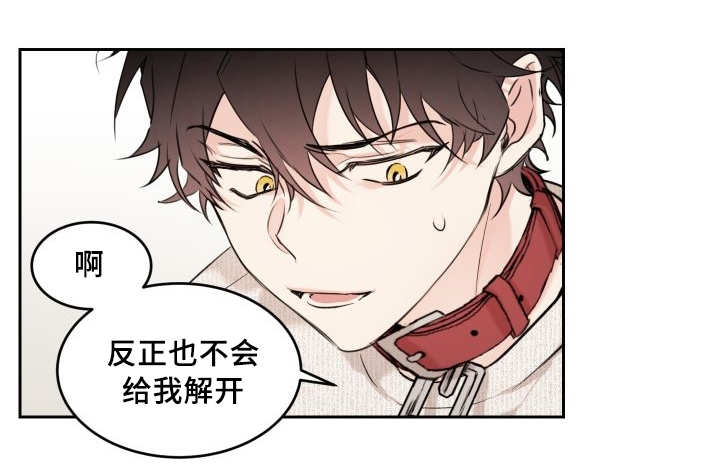 《猫的项圈》漫画最新章节第29话_完全吃醋了免费下拉式在线观看章节第【19】张图片