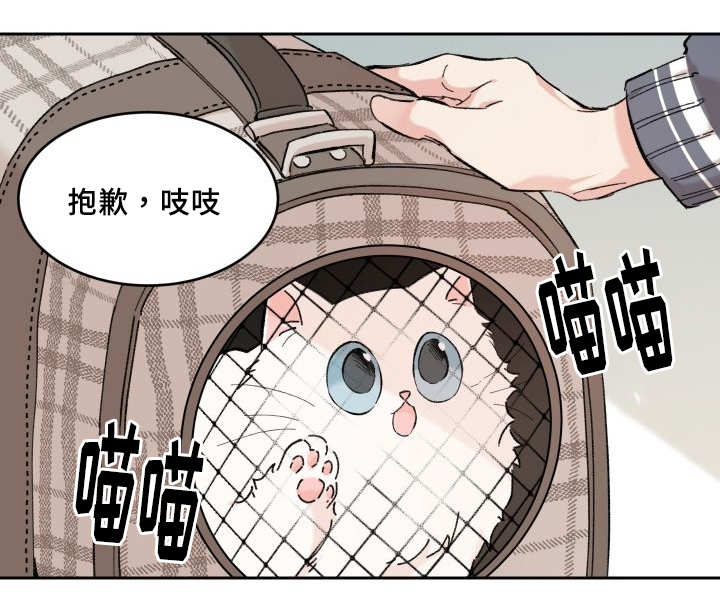 《猫的项圈》漫画最新章节第29话_完全吃醋了免费下拉式在线观看章节第【3】张图片