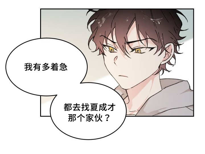 《猫的项圈》漫画最新章节第36话_逃出来了免费下拉式在线观看章节第【19】张图片